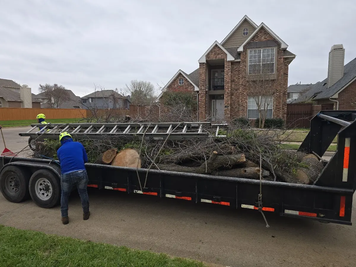 Expert Lot Clearing with proper safety equipment in Bluford